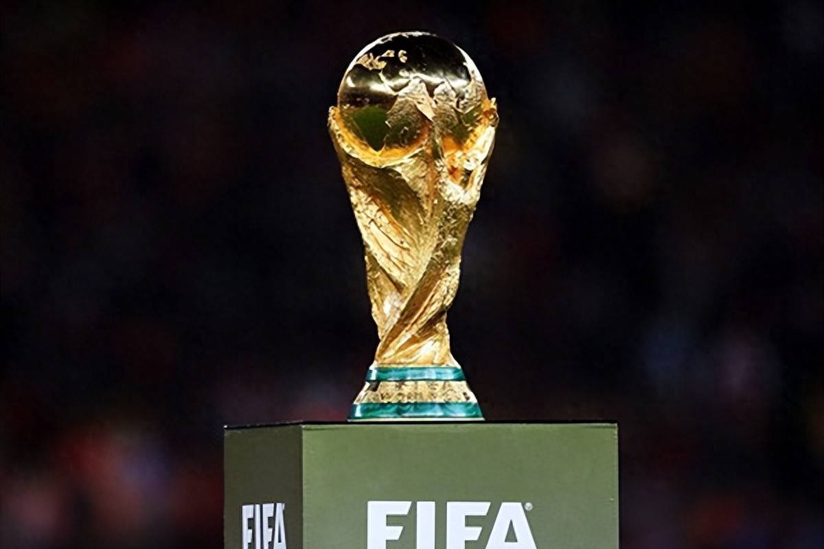 天津津门虎 天津津门虎