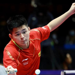 提供了一个 提供了一个