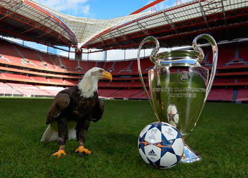 特的外线牵 特的外线牵